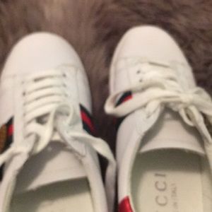 Gucci sneakers